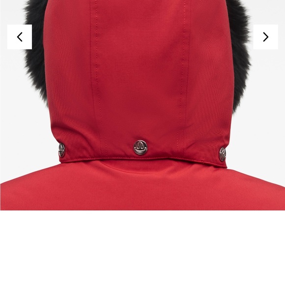 XL MOOSE KNUCKLE UNISEX BOMBER - Picture 8 of 13